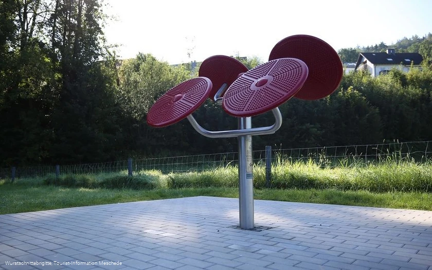 Hennepark - Schultertrainer