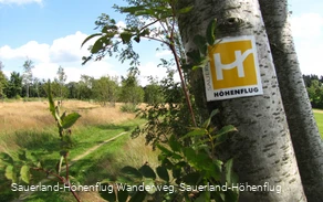 Wiesenweg bei Altastenberg