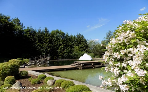 Naturerlebnisbad Saalhausen